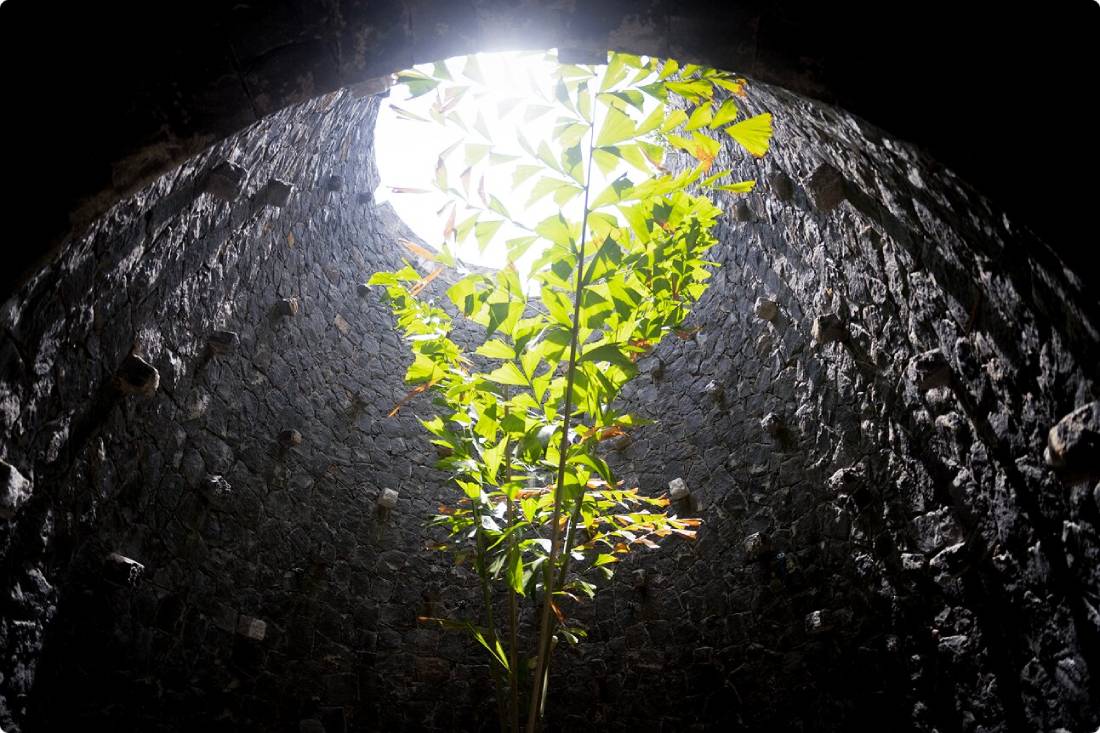 Green corridor underground 2