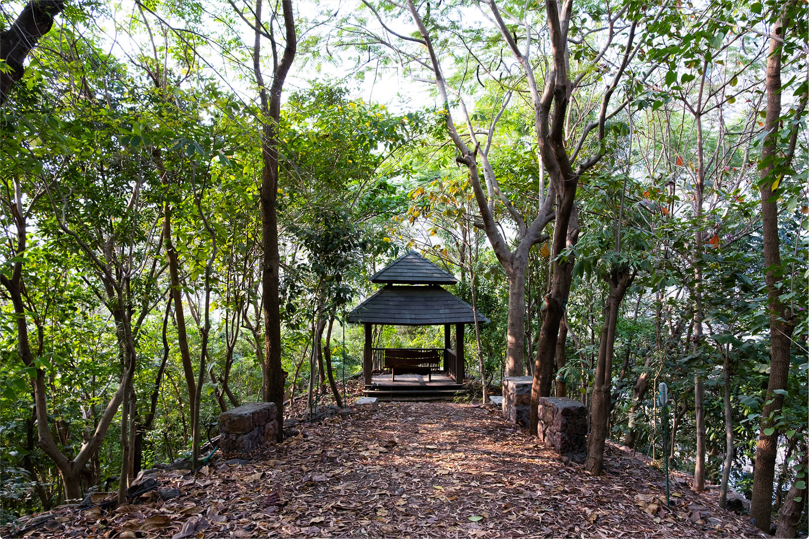 A leaf-strewn path climbing to the gazebo at the summit