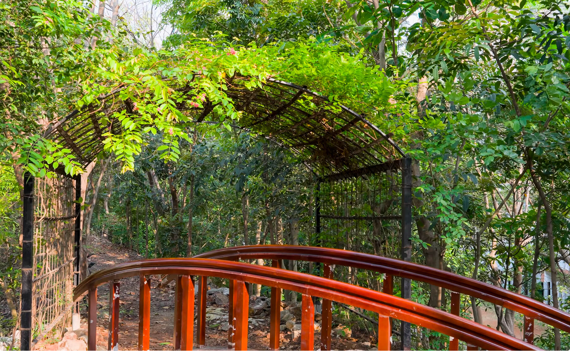A creeper-covered arch over the red footbridge