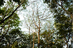 Rooted in Zoho