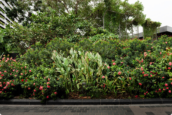 Foliage detail 1