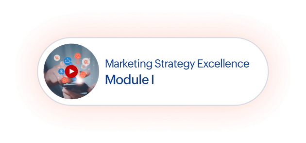 Marketing Strategy Excellence Module I