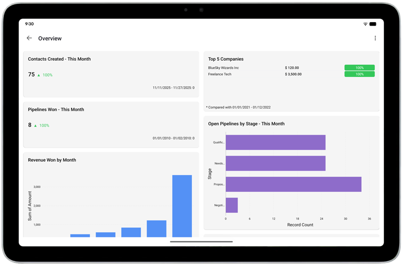 Charts and KPIs highlighting business metrics